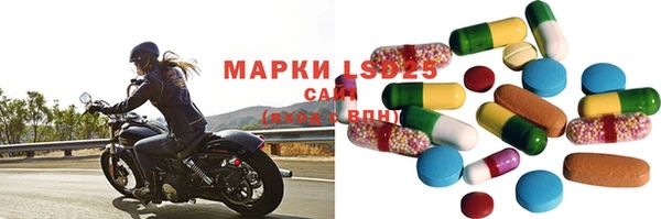 прущие грибы Армянск