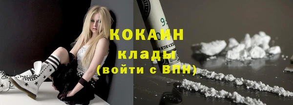 прущие грибы Армянск